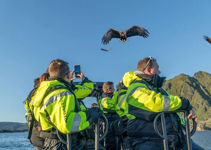 Lägenhet Ure Lodge, Leknes, Lofoten