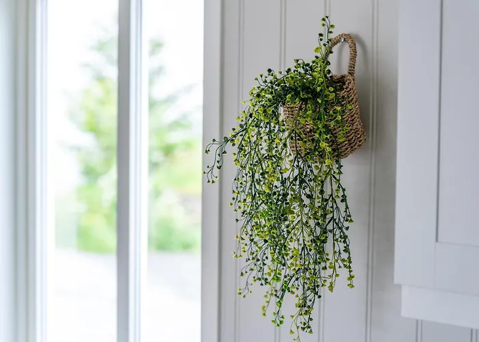 Ure Lodge, Leknes, Lofoten * Sennesvik